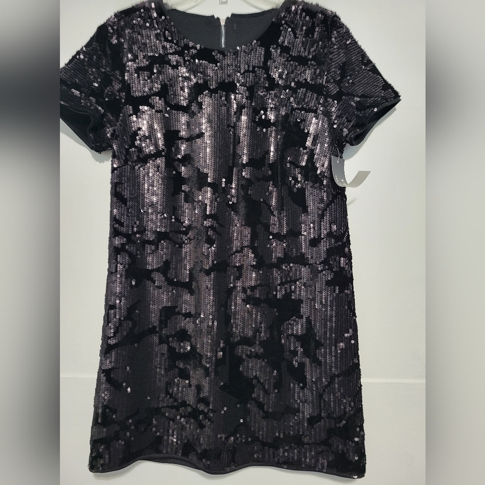 Verty Velvet Sequin Embellished Dress in Black Small?